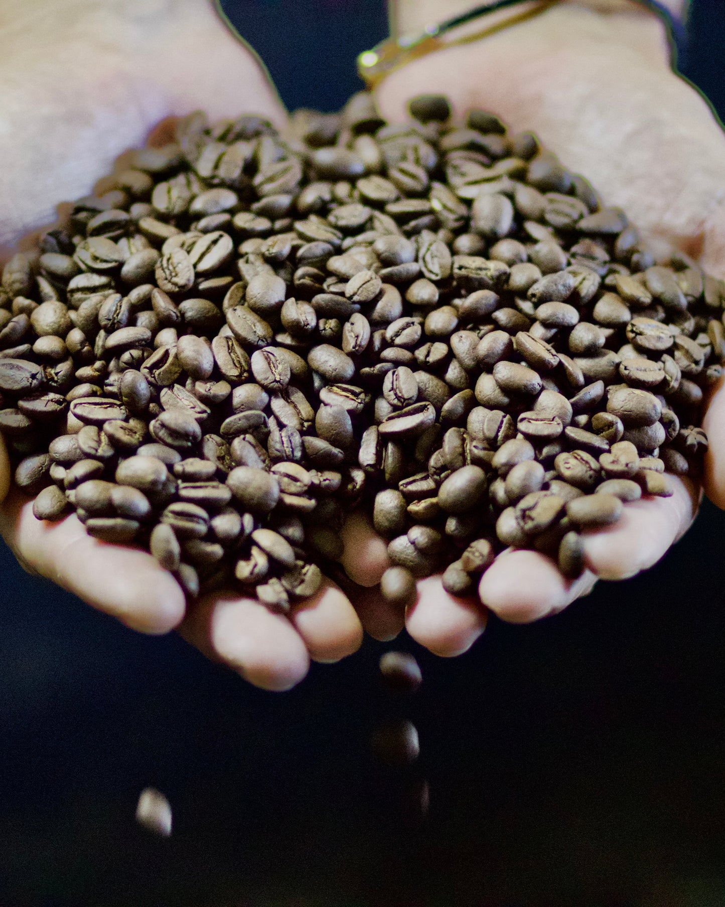 'El Original' 100% Puerto Rican Arabica - WHOLE BEAN