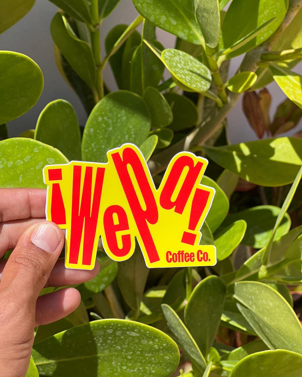 ¡Wepa! Sticker